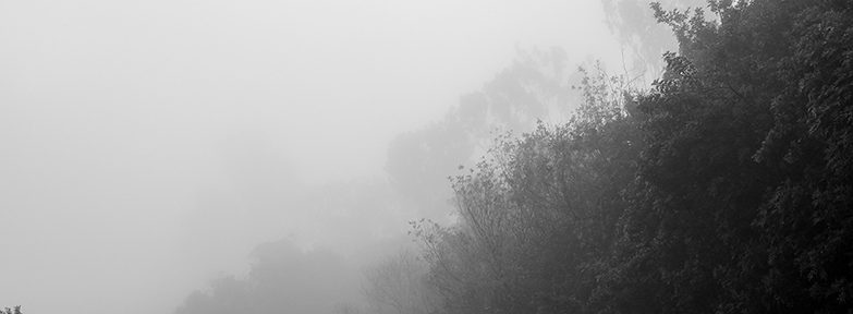 back bay newport beach photo by scott anderson